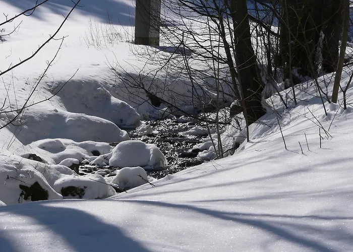 Han/Misafirhane Gasthaus&pension 